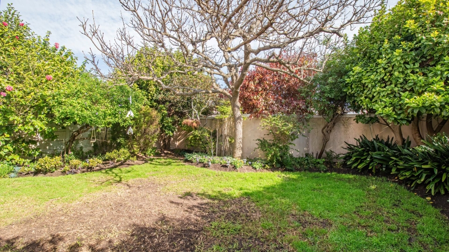 To Let 3 Bedroom Property for Rent in Diep River Western Cape